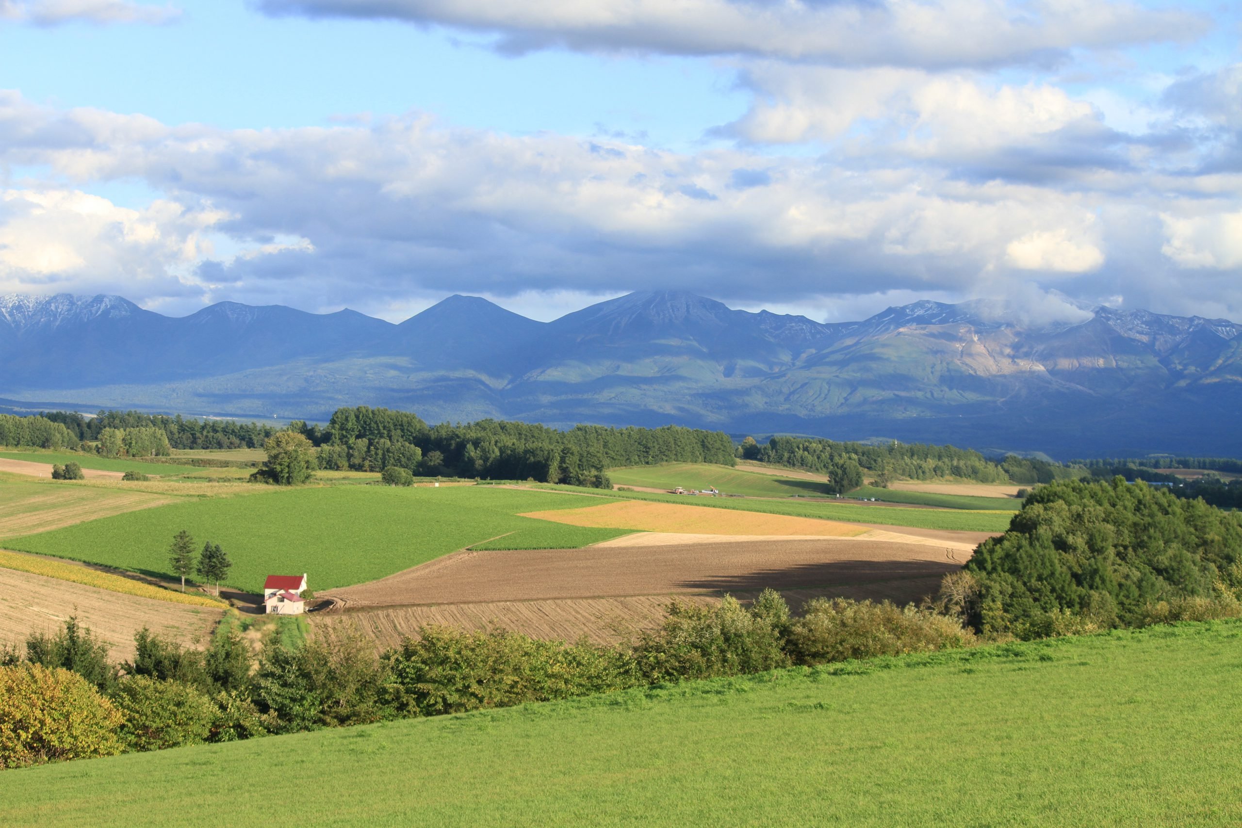 🏞️ 신에이 언덕 전망공원(신에이노오카 텐보코엔) 이미지 1